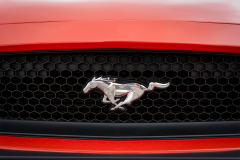 Ford Mustang 5.0 V8 GT